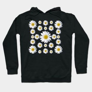 daisies flower blossom bloom blooming daisy petals Hoodie